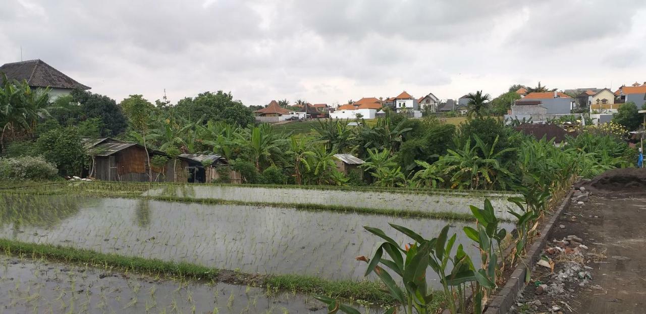 Pd Bali Guesthouse Canggu Exteriör bild
