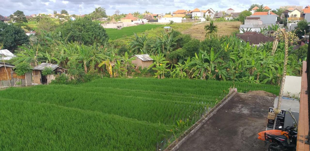 Pd Bali Guesthouse Canggu Exteriör bild